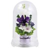 Art Four Seasons ● Offering Flowers 2 Colors Preserved Flowers