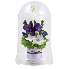 Art Four Seasons ● Offering Flowers 2 Colors Preserved Flowers (Grape)