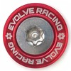 EVOLVERACING Anti-Theft Bolt Set for License Plates, Roadworthy (Red, Bolt