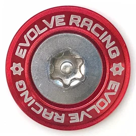 EVOLVERACING Anti-Theft Bolt Set for License Plates, Roadworthy (Red, Bolt Length 15mm)