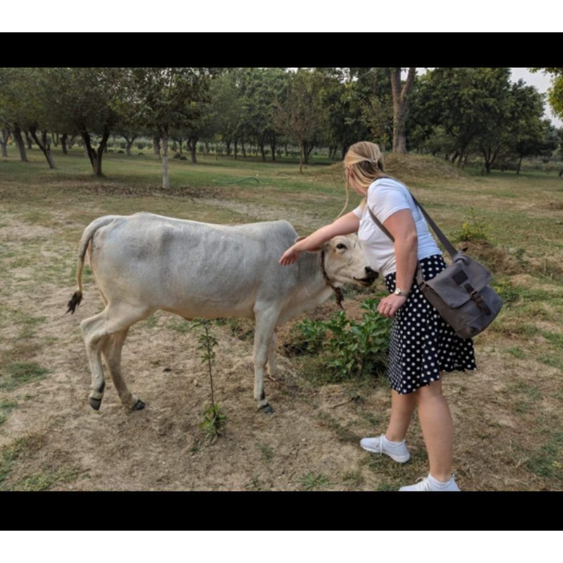 TOPWOLFS Canvas Messenger Bag Small Crossbody Bag Casual Travel Working