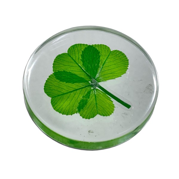 KIN-HEBI Real Four Leaf Clover Good Luck Pocket Token, Preserved, 1.25” (Including Crystal Quartz)