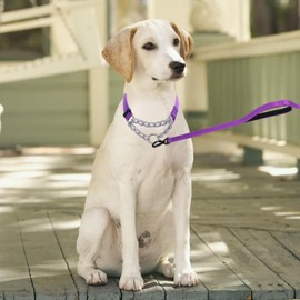 haoyueer Martingale Dog Collar, Stainless Steel Chain, Martingale Collar with Reflective, Adjustable for Medium Large Dogs (Purple Set, S)