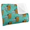 SCOOBY DOO! Silky Touch Super Soft Throw Blanket, 152 x