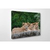 3 Cute Lion Cubs Wildlife Canvas/Wall Art For Home/Office/Living Room/Bedroom