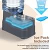 2.2 Gallon Pet Automatic Dog Water Dispenser Cat Gravity Waterer