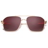 Dollger Retro Oversized Square Sunglasses for Women Men Classic Double