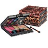 Professional Makeup Kit – Eyeshadow, Lip Gloss, Blush & Concealer
