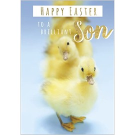 Brilliant Son Chicks Happy Easter Card – Golden Foil Detailed Illustration