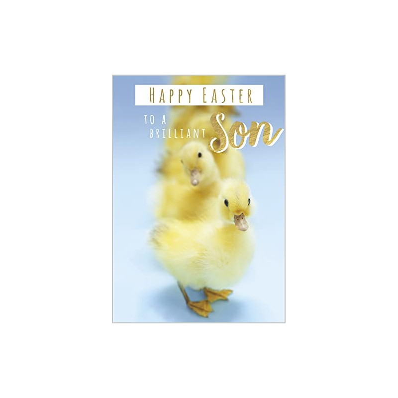 Brilliant Son Chicks Happy Easter Card – Golden Foil Detailed