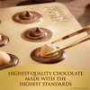 Ferrero Collection, Premium Assorted, Hazelnut, Dark Chocolate and Coconut, 24
