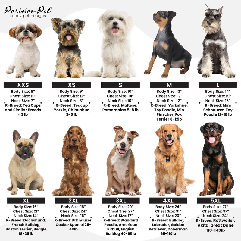 Parisian Pet Freedom Dog Harness, Leopard, S