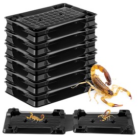 Qualirey 12 Scorpion Glue Tray Traps, Adhesive Scorpion Killer Indoor, Pet and Children Safe, Repellent, Insect Traps Indoor, Sticky Bug Catcher for Basement, Bathrooms and Garage