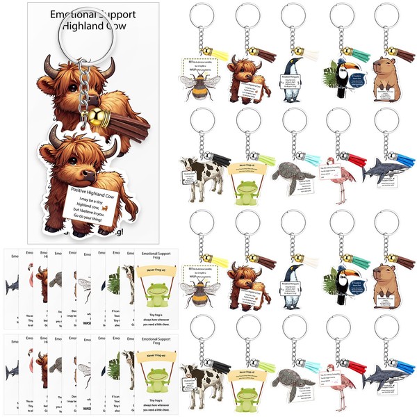 Weysat 20 Sets Employee Appreciation Gifts Emotional Encourage Support Keychains