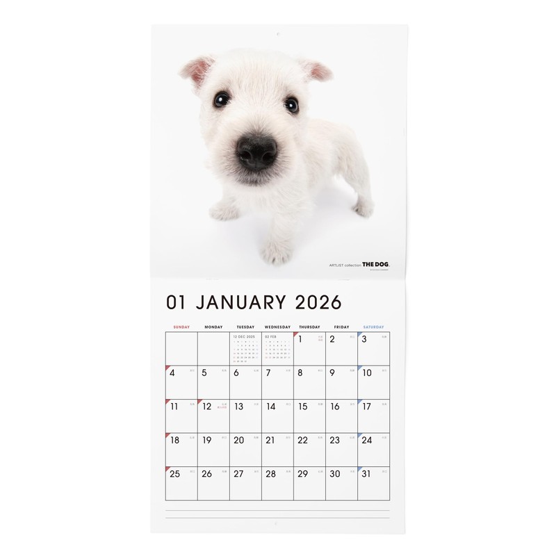 THE DOG 2026 Wall Calendar Large Size [West Highlands White
