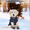 Hooded Dog Coat and Dog Cat Boots Shoes Socks Stylish