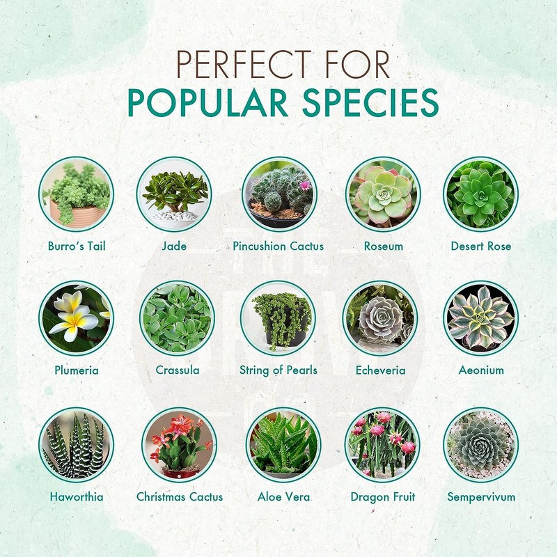 Organic Succulent & Cactus Plant Food - Gentle Liquid Fertilizer