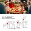 3Pcs Lighted Christmas Decoration Deer, Iron LED Reindeer Family Set,