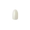 OSAJI Uplift Nail Color, Formulated with Herbal Extract, Beautiful Gloss,