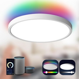 ANTENLICHT ANTENLICHT LED Deckenlampe Smart 24W Kompatibel mit Alexa und Google Assistant ?30cm, Steuerbar via App mit 16 Millionen DIY Farben, Wifi Deckenleuchte mit Fernsteuerung fr Schlafzimmer, Wohnzimmer