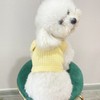 Cat Bowknot Knitwear Breathable Soft Cotton Small Dog Sweater for