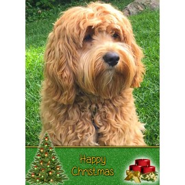 Cockapoo Dog Christmas Card 'Happy Christmas' - Special Animal Xmas Card for Him Her from Pets Kids