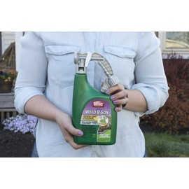 Ortho Weed B Gon Chickweed, Clover and Oxalis Killer for Lawns Ready-To-Spray, Kills Creeping Charlie, 32 fl. oz.