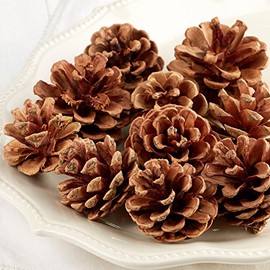 Pack of 20 Natural Dried Pine Cones - Woodland Pinecones for Fall, Thanksgiving Party Christmas Holiday DIY Crafts and Decorations