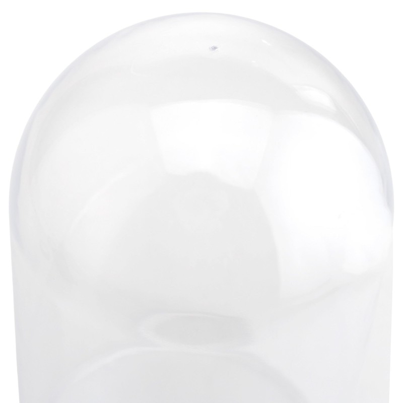HOMEFORD Plastic Dome Display Case with Clear Base, 6-inch, 1-Count