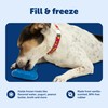 PetSafe Chilly Penguin Freezable Treat Holding Dog Toy, Medium/Large