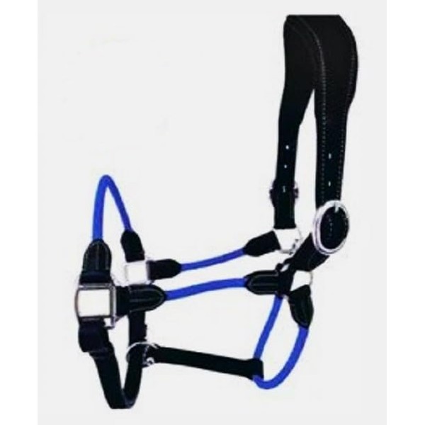 Cwell Equine Deluxe Black Leather and Rope Hybrid Padded Halter