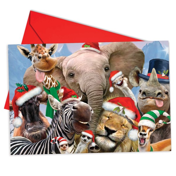The Best Card Company - 12 Boxed Christmas Note Cards with Envelopes - Assorted Funny Animals, Holiday Greeting Cards for Kids - Merry Christmas to Zoo B6652CXSG
