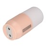 Mini Humidifier 280ml Two Spray Modes 10dB Low Noise Portable
