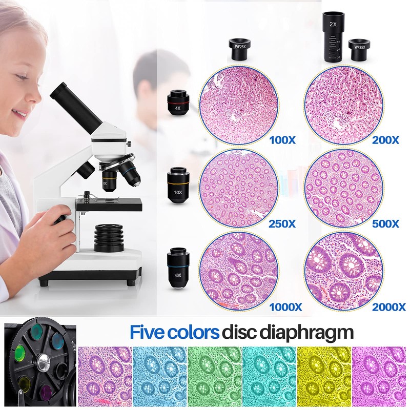Microscope for Adults Kids, 100X-2000X BEBANG Compound Microscope with Microscope