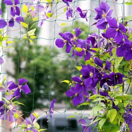 Relaxdays Trellis Net for Greenhouse, 200 x 1000 cm, Trellis for Cucumbers, Tomatoes, Mesh Size 10 cm, Greenhouse Net, Green