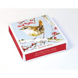 Boxed Christmas Cards - Pack of 20 Cards with Envelopes - Winter Birds