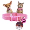 Tiny Dog Collar with Bell, Pretty Hot Pink Cat Collars