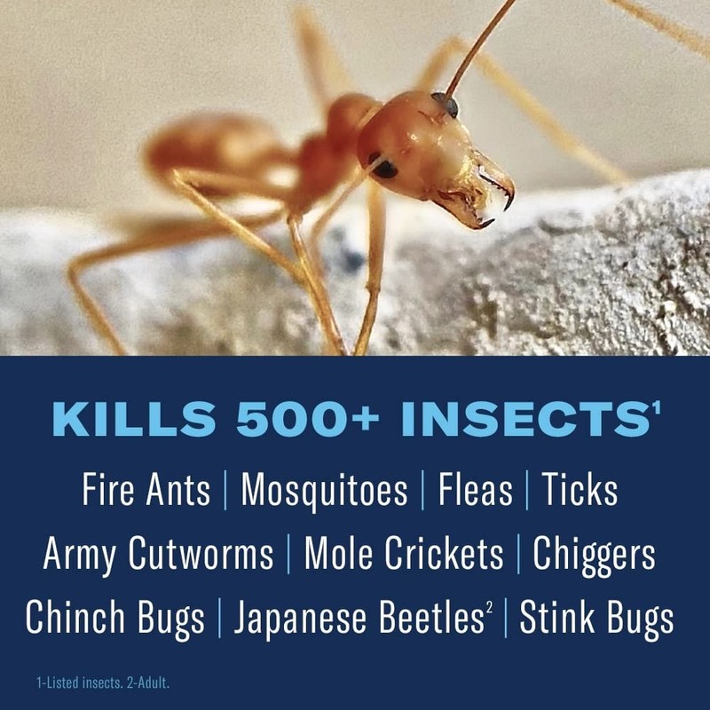 BioAdvanced 24 Hour Lawn Insect & Fire Ant Killer, Concentrate,