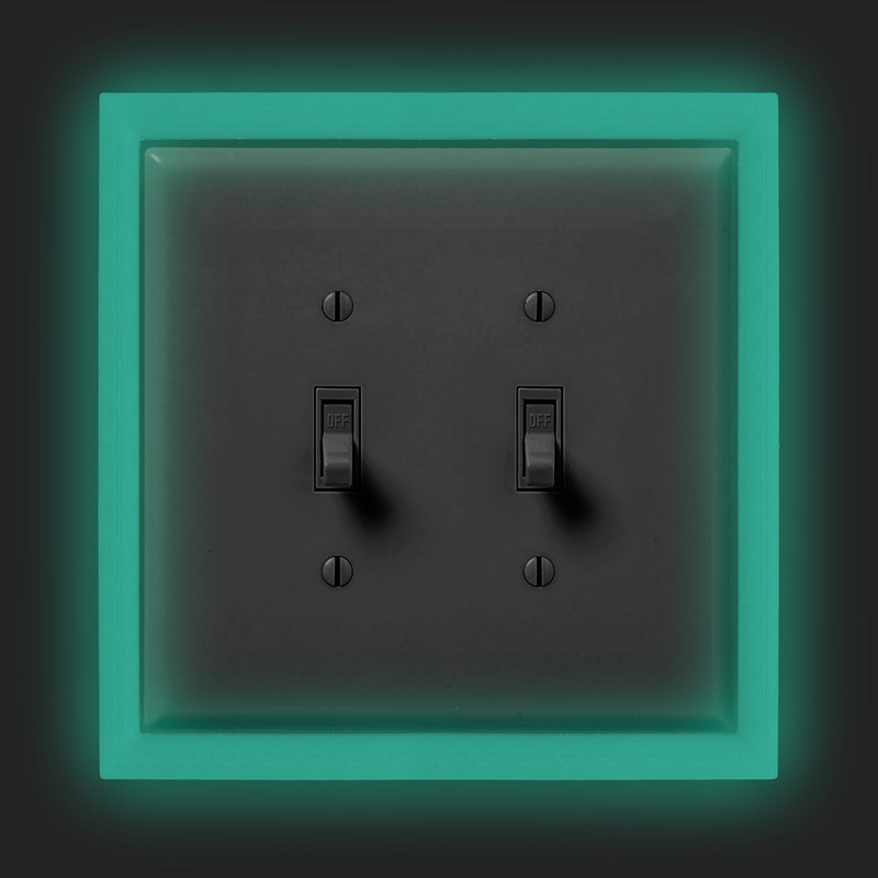 Glow in the Dark Light Switch Frame, 2 Toggle, Luminous