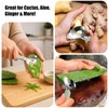 2 Pack Cactus Peeler Spoon, Stainless Steel Cuchara Pelador de