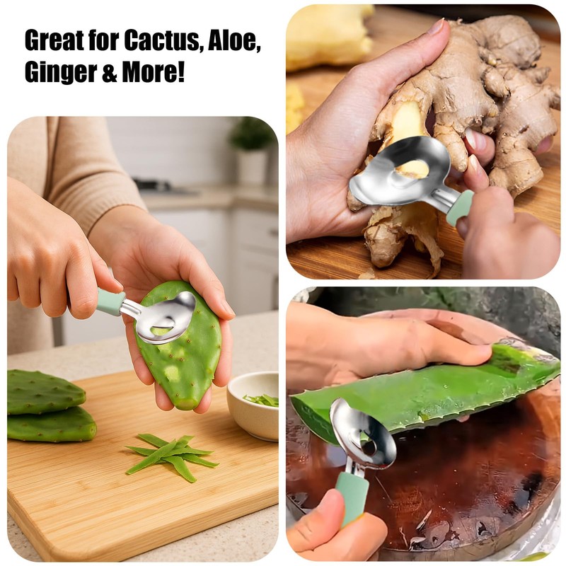 2 Pack Cactus Peeler Spoon, Stainless Steel Cuchara Pelador de