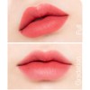 ETUDE [ETUDE]*renewal* Fixing Tint Bar (5 Colors)