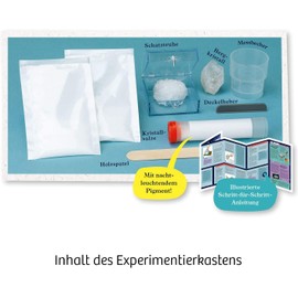 KOSMOS 658007 Glow-in-the-Dark Crystal, Grow Crystals Yourself, with Treasure Chest, Experimenting for Children Aged 10 Years and Above, Small Gift