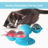 Lightsmax Turntable Windmill Teasing Interactive Cat Toys for Indoor Cats