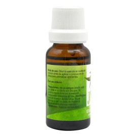 Joli Esencia De Eucalipto 19 Ml Aromaterapia