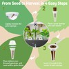 Basil Seed Pods Kit Hydroponic - Refill Herb Pod for