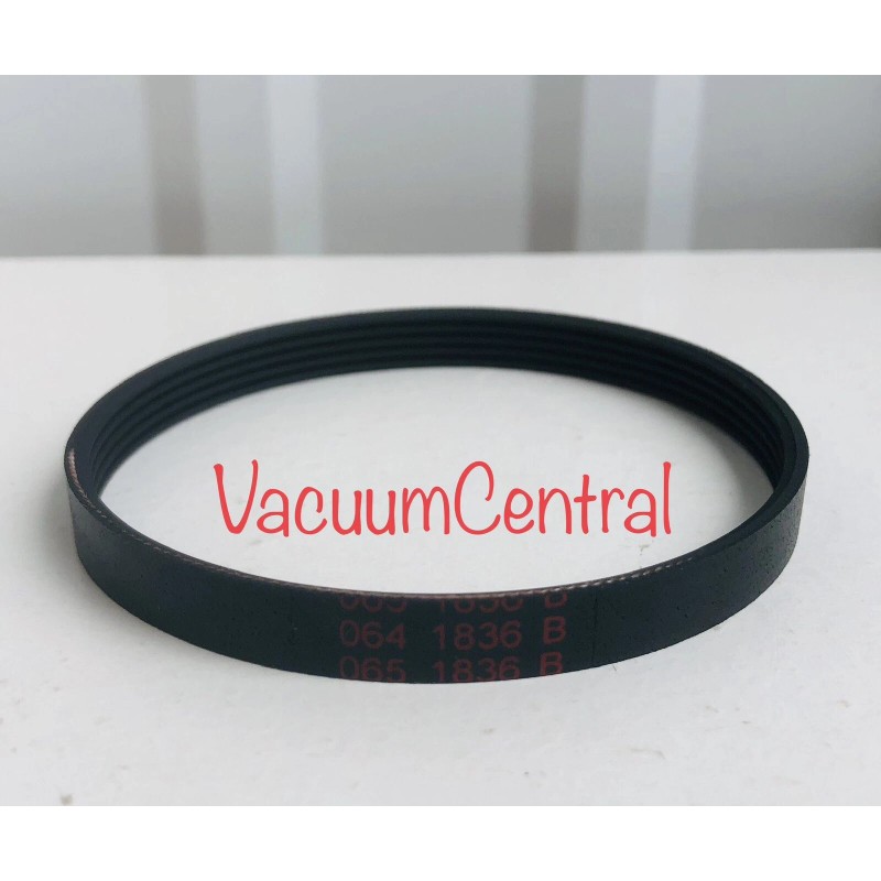 Beam Electrolux Q100 Q200 Elec Carpet Brush Belt - Central