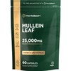 Mullein Leaf Extract 25,000mg | Max Strength Formula for Men