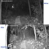 JCHENG SECURITY JC 210ft Infrared Illuminator, 20 LEDs 90 Degree
