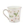 Wedgwood 1053405 Wild Strawberry Pastel Pair Mug, Pink, Green, Approx.
